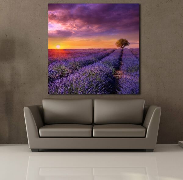 SÜMBÜL TARLASI KANVAS TABLO