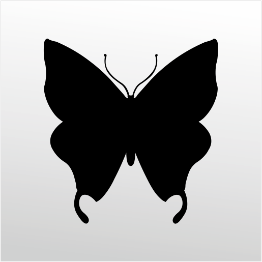 Folyo Sticker Kelebek ADKPQUY677