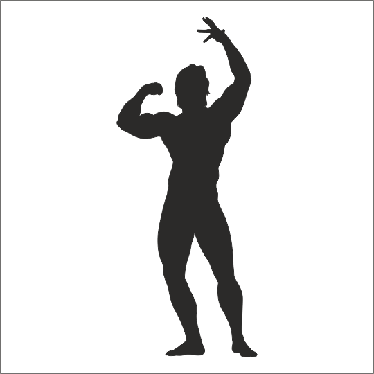 BODY GYM FOLYO STİCKER DERSTV1091