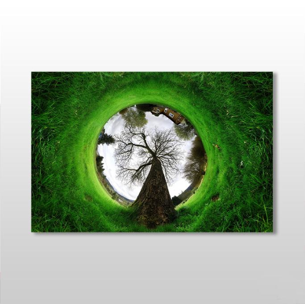 Küre Çimenlik Kanvas Tablo