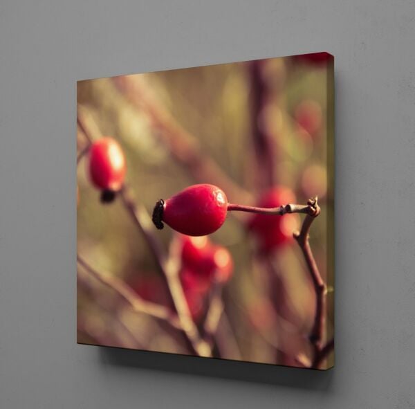 KUŞBURNU KANVAS TABLO