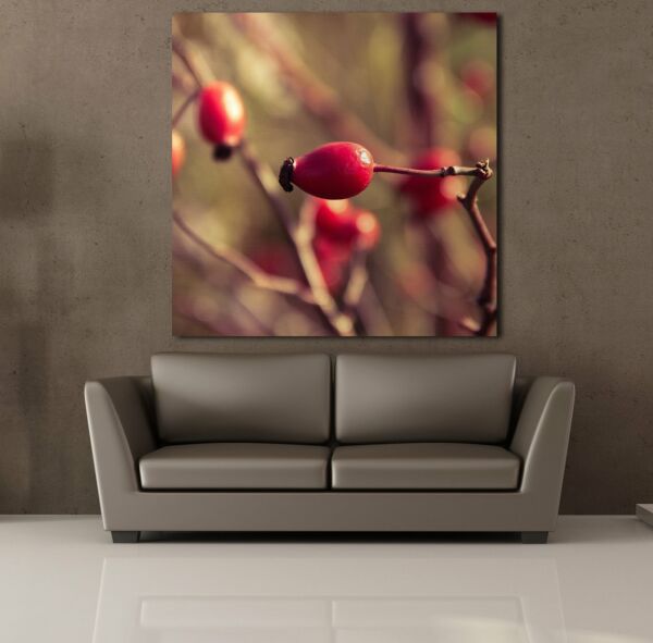 KUŞBURNU KANVAS TABLO