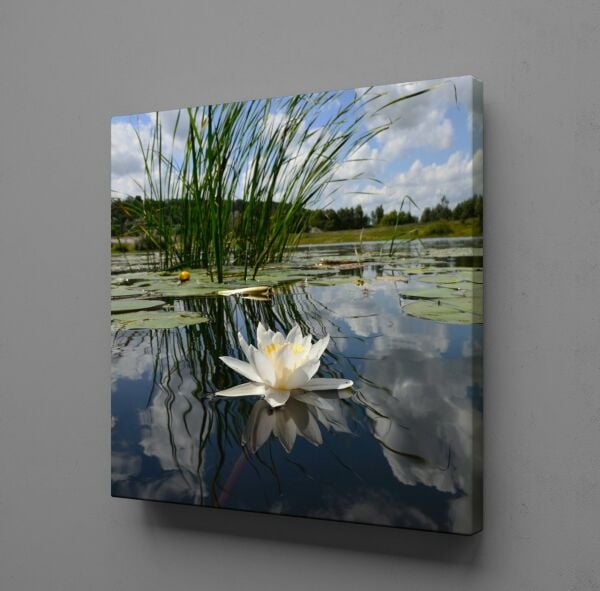 AKARSUDAKİ ZAMBAK KANVAS TABLO