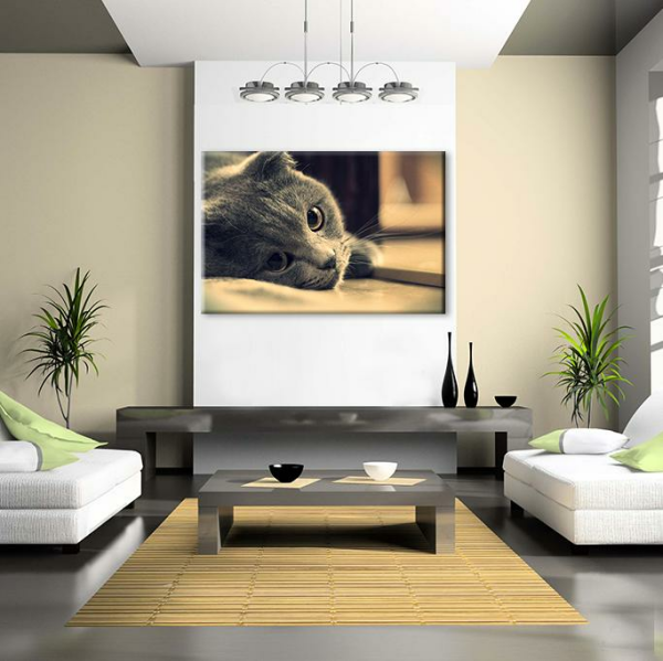 Siyah Kedi Kanvas Tablo