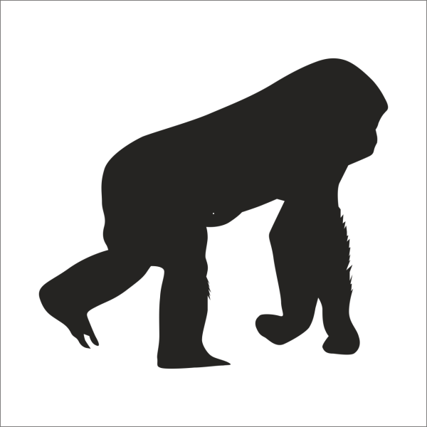 MAYMUN FOLYO STİCKER DERSTV1003