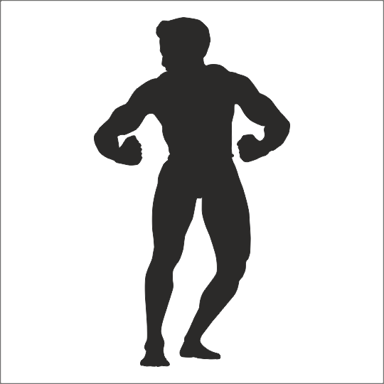 BODY GYM FOLYO STİCKER DERSTV1096