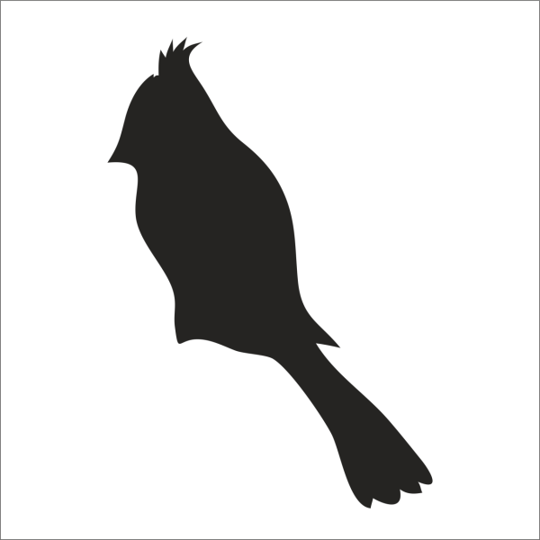 KUŞ FOLYO STİCKER DERSTV919