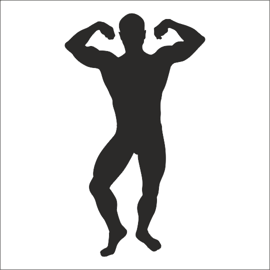 BODY GYM FOLYO STİCKER DERSTV1097