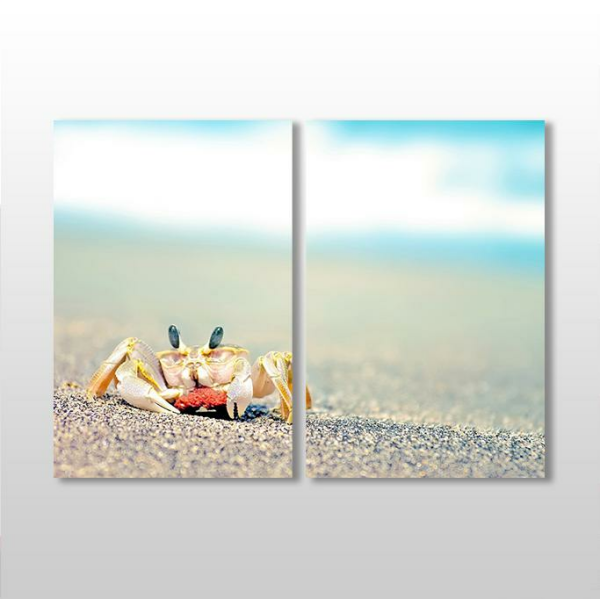 Kumsalda Yengeç Kanvas Tablo