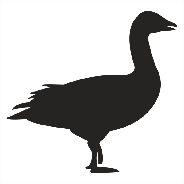 ÖRDEK FOLYO STİCKER