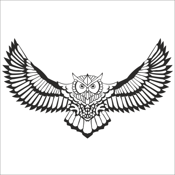 BAYKUŞ FOLYO STİCKER