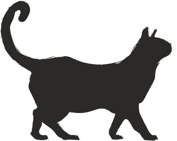 KEDİ FOLYO STİCKER