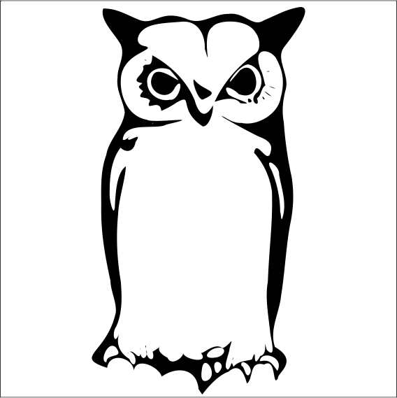 BAYKUŞ FOLYO STİCKER