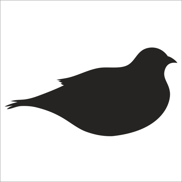 KUŞ FOLYO STİCKER DERSTV923