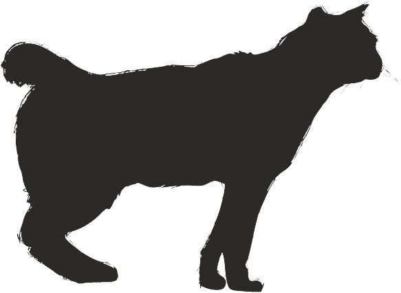 KEDİ FOLYO STİCKER