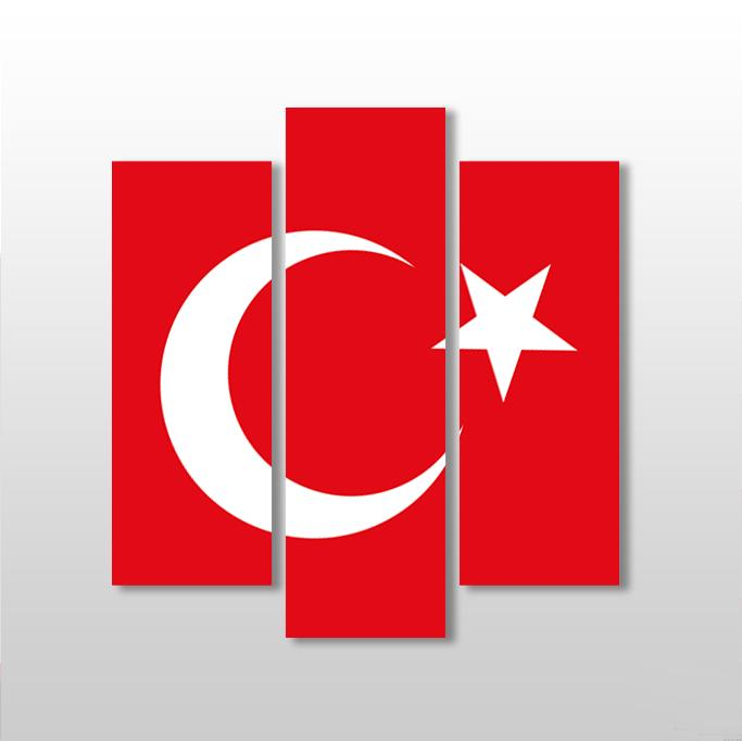 Türk Bayrak Kanvas Tablo