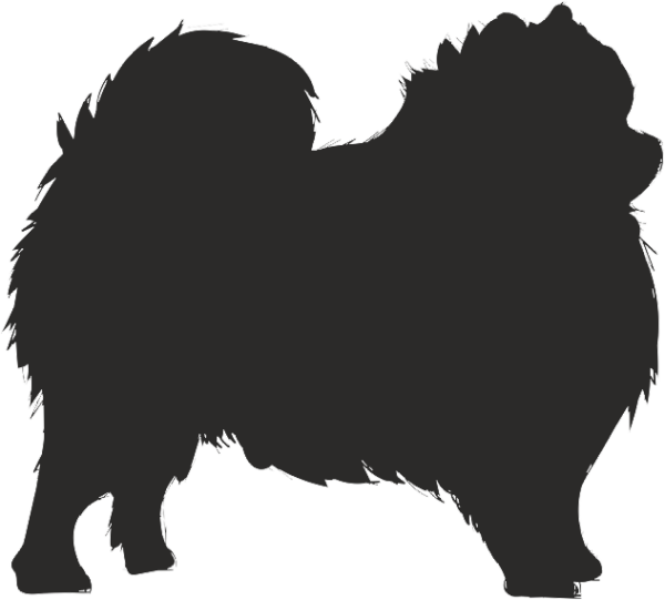 KÖPEK FOLYO STİCKER