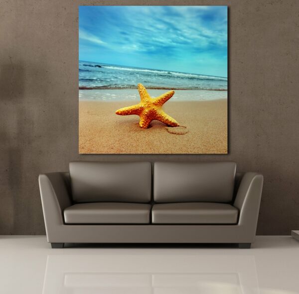 KUMSALDA DENİZ YILDIZI KANVAS TABLO