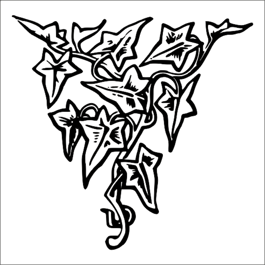 AĞAÇ VE GÜL RESİMLERİ FOLYO STİCKER