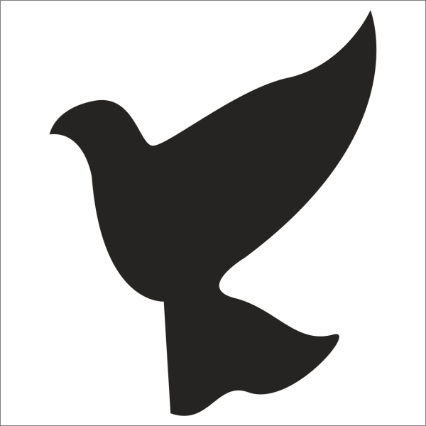 KUŞ FOLYO STİCKER DERSTV927