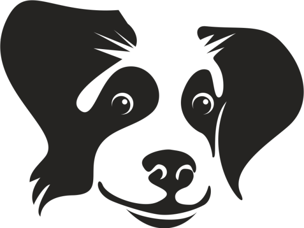 KÖPEK FOLYO STİCKER