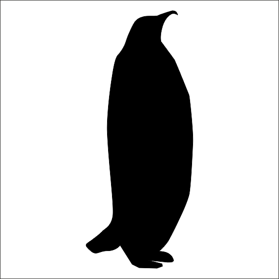 PENGUEN FOLYO STİCKER