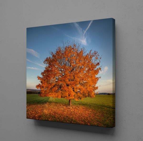 YAPRAKLARI DÖKÜLEN AĞAÇ TEMALI KANVAS TABLO