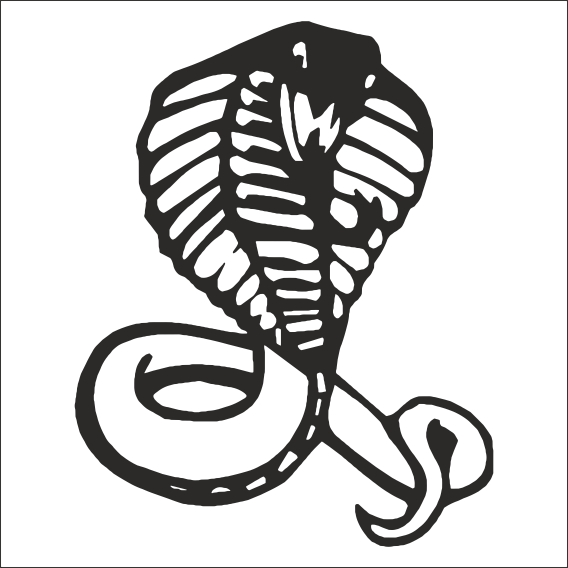 COBRA FOLYO STİCKER