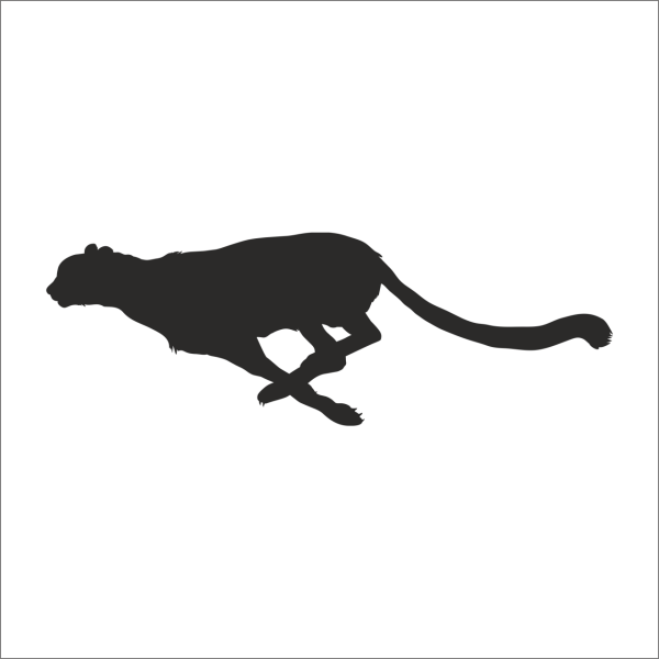 ÇİTA FOLYO STİCKER