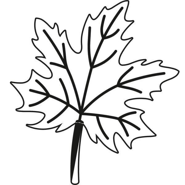 AĞAÇ VE GÜL RESİMLERİ FOLYO STİCKER