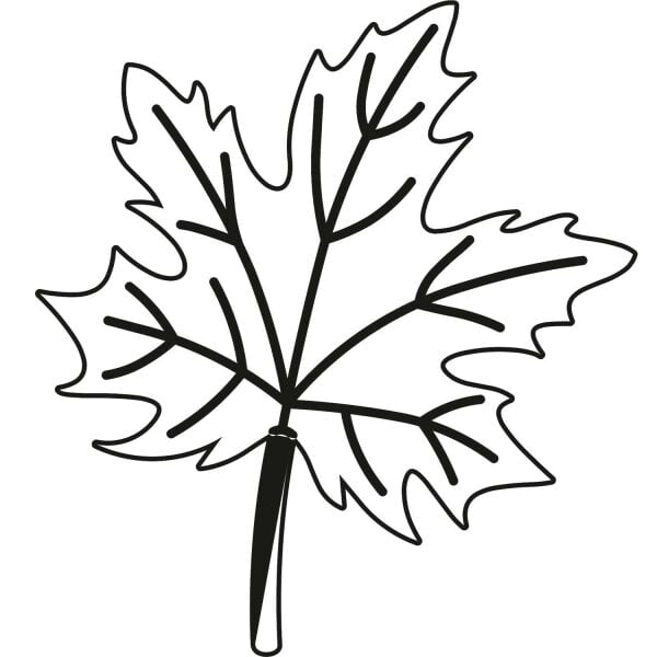 AĞAÇ VE GÜL RESİMLERİ FOLYO STİCKER