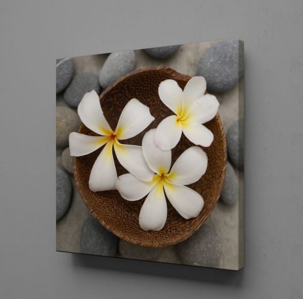 SPA TAŞLARI VE PAPATYA TEMALI KANVAS TABLO