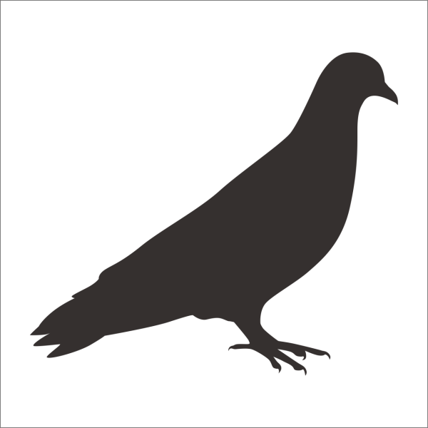 KUŞ FOLYO STİCKER DERSTV932