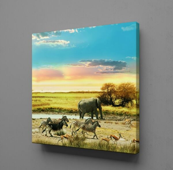 FİL VE ZEBRALAR KANVAS TABLO