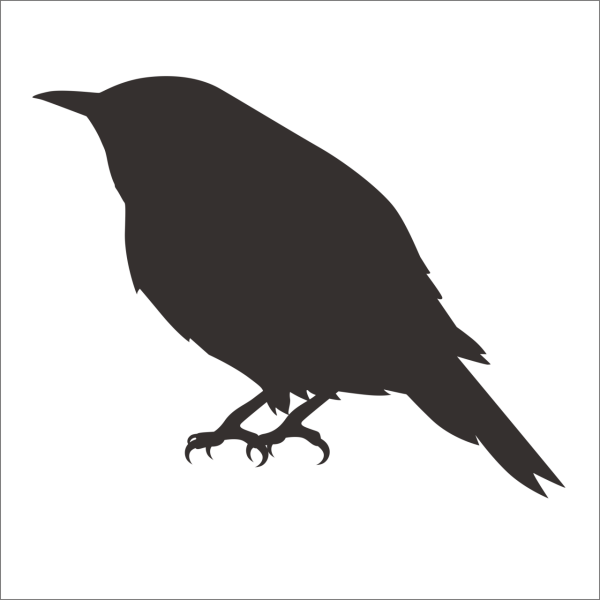 KUŞ FOLYO STİCKER DERSTV933