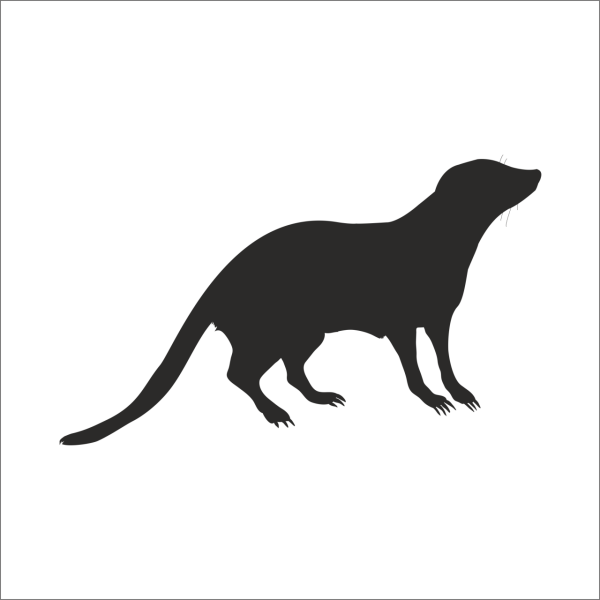 SANSAR FOLYO STİCKER