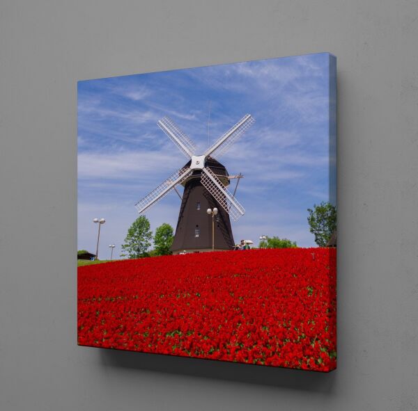 LALE TARLASINDA DEĞİRMEN KANVAS TABLO