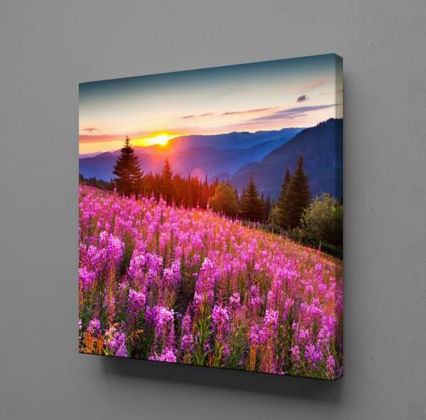 PEMBE ÇİÇEKLER TEMALI KANVAS TABLO