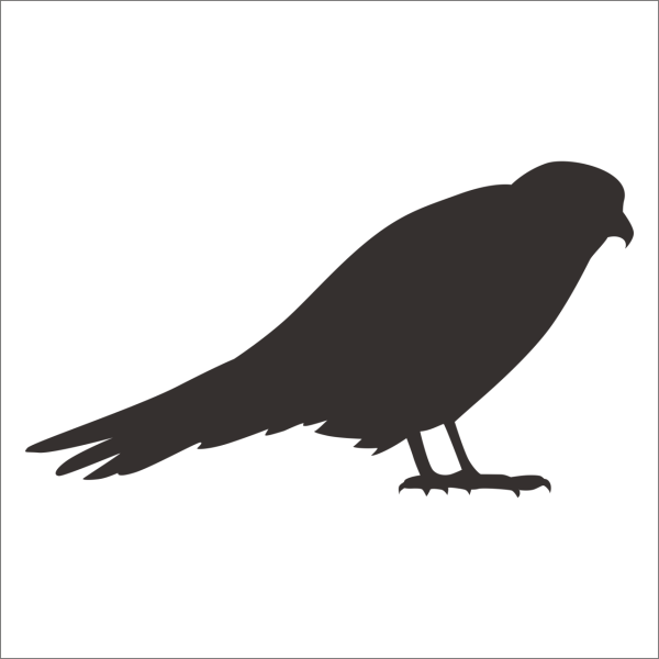 KUŞ FOLYO STİCKER DERSTV937