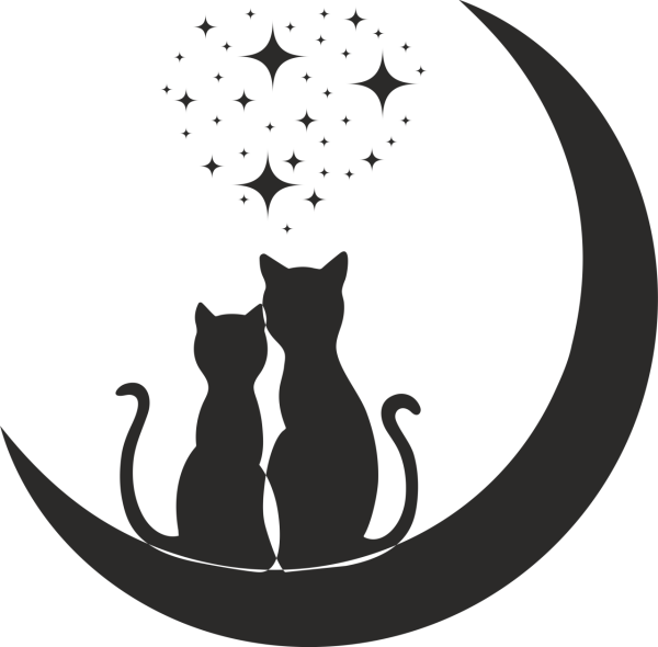 KEDİ FOLYO STİCKER