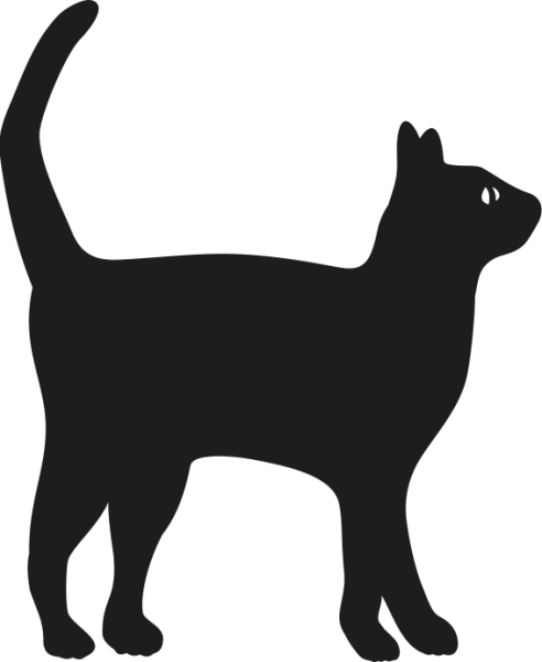 KEDİ FOLYO STİCKER