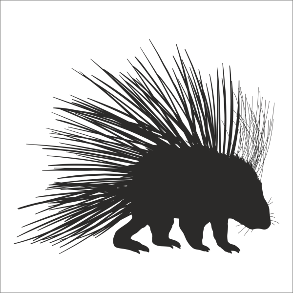 KİRPİ FOLYO STİCKER