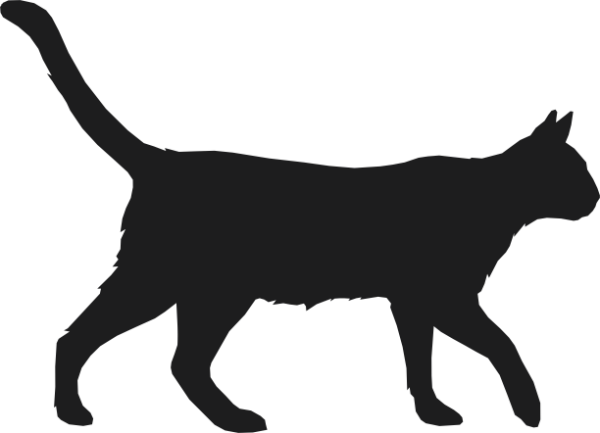 KEDİ FOLYO STİCKER