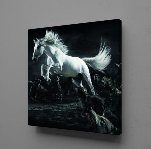 BEYAZ AT KANVAS TABLO