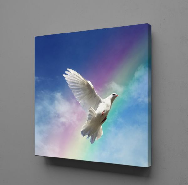 BEYAZ GÜVERCİN VE GÖKKUŞAĞI KANVAS TABLO