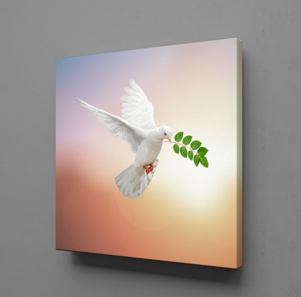 BEYAZ GÜVERCİN KANVAS TABLO