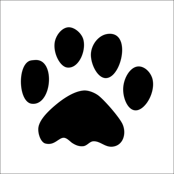 PATİ İZİ FOLYO STİCKER