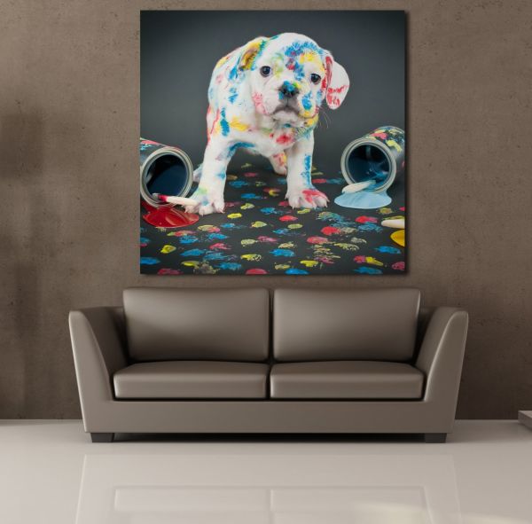 BOYA SIÇRAMIŞ BEYAZ KÖPEK KANVAS TABLO