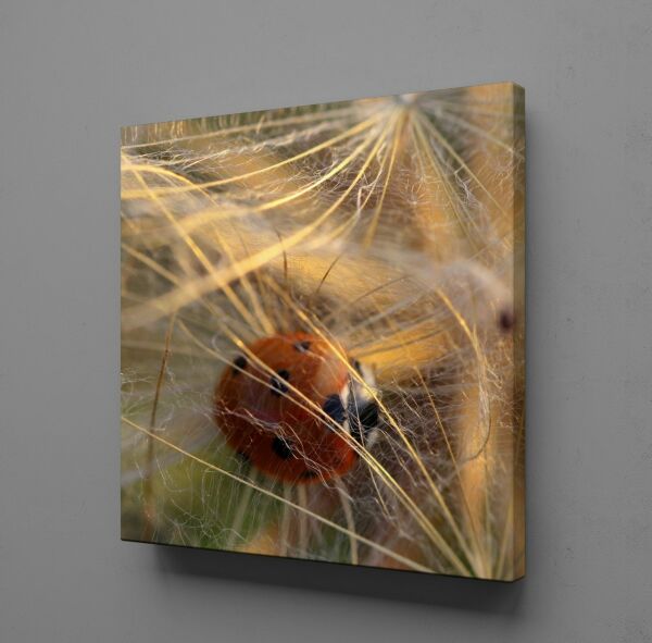 ÇİÇEKLERİN ARASINDA UĞUR BÖCEĞİ KANVAS TABLO