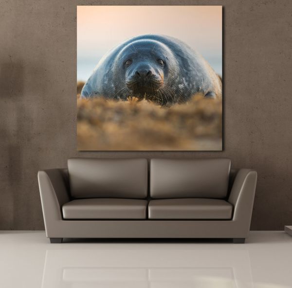 FOK BALIĞI KANVAS TABLO